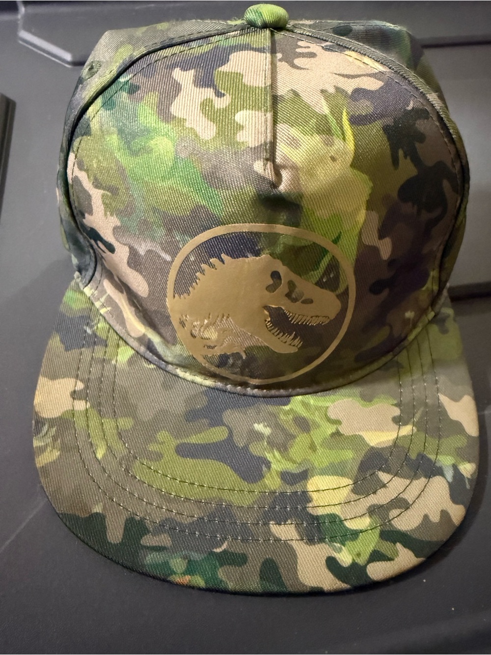 Jurassic World Camouflage Trucker Hat with Dinosaur for Boys